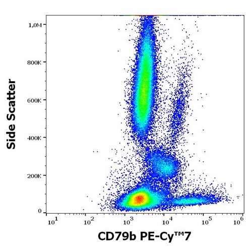 Anti-Hu CD79b PE-Cy™7