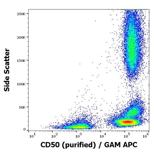 Anti-Hu CD50 Purified