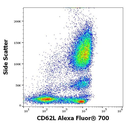 Anti-Hu CD62L Alexa Fluor<sup>®</sup> 700