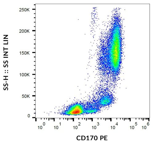 Anti-Hu CD170 PE