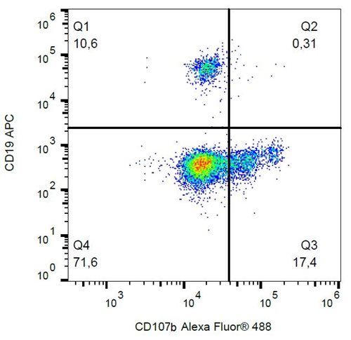 Anti-Hu CD107b Alexa Fluor<sup>®</sup> 488