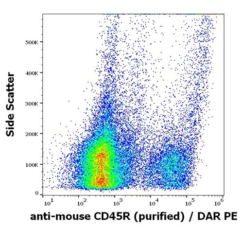 Anti-Ms CD45R Purified Low Endotoxin