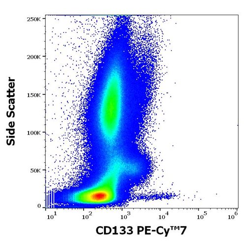 Anti-Hu CD133 PE-Cy™7