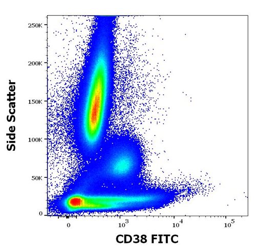 Anti-Hu CD38 FITC