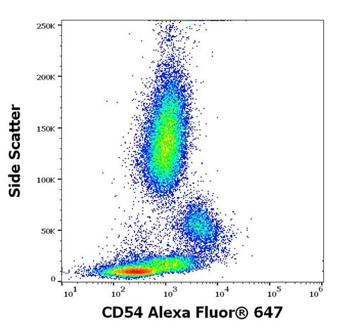 Anti-Hu CD54 Alexa Fluor<sup>®</sup> 647
