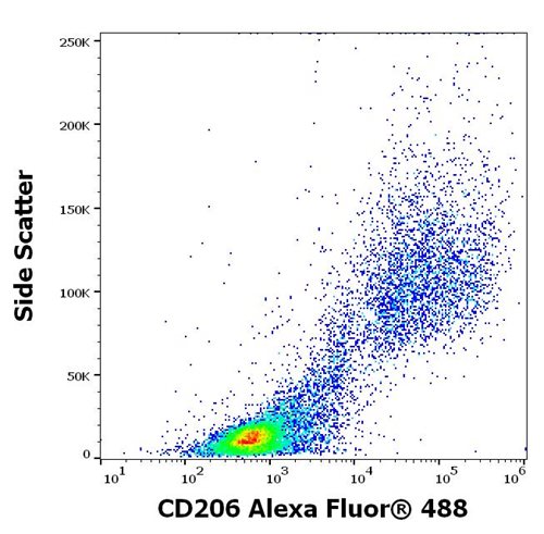 Anti-Hu CD206 Alexa Fluor<sup>®</sup> 488