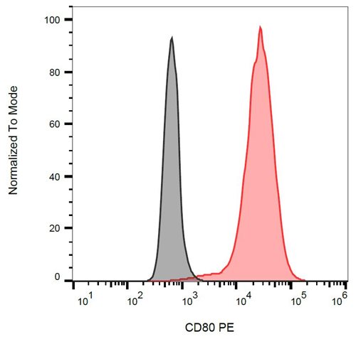Anti-Hu CD80 PE