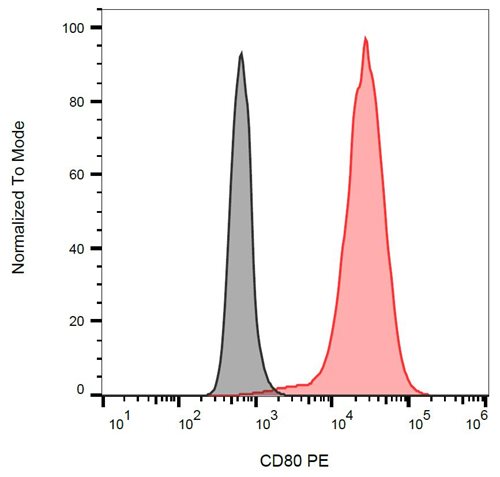 Anti-Hu CD80 PE