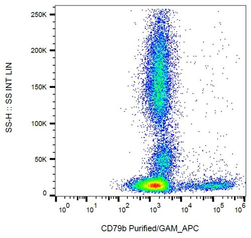 Anti-Hu CD79b Purified