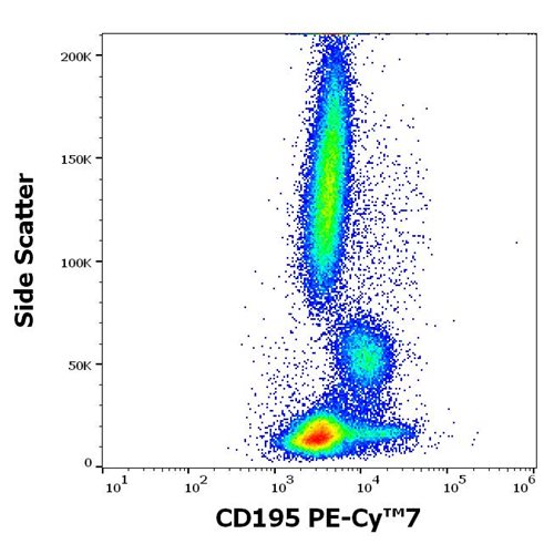 Anti-Hu CD195 PE-Cy™7