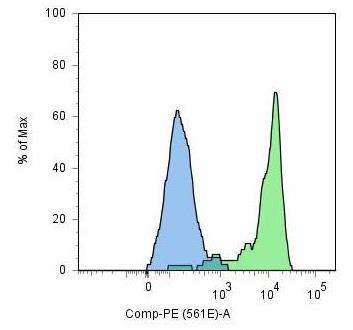 Anti-PSMA Purified