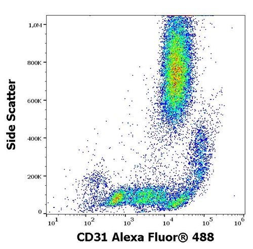 Anti-Hu CD31 Alexa Fluor<sup>®</sup> 488