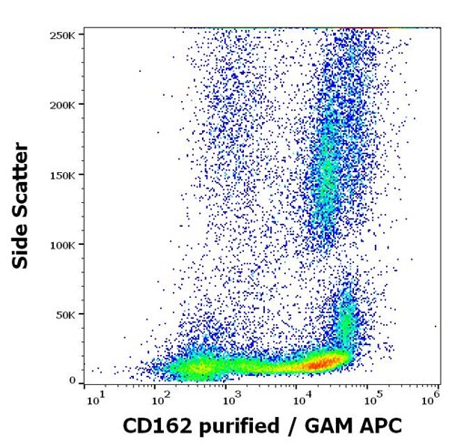 Anti-Hu CD162 Purified