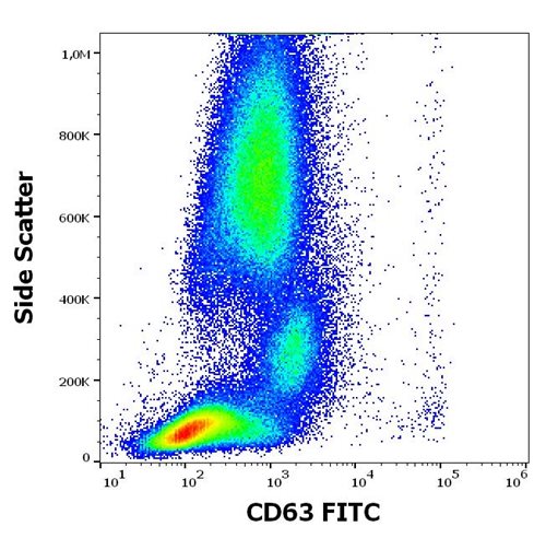 Anti-Hu CD63 FITC