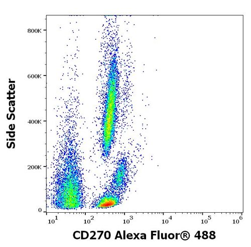 Anti-Hu CD270 Alexa Fluor<sup>®</sup> 488
