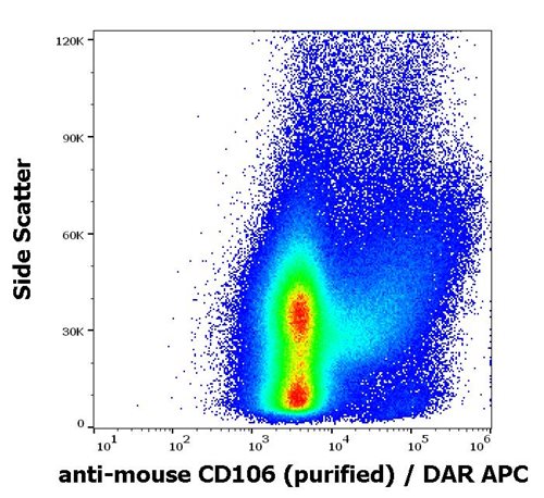 Anti-Ms CD106 Purified