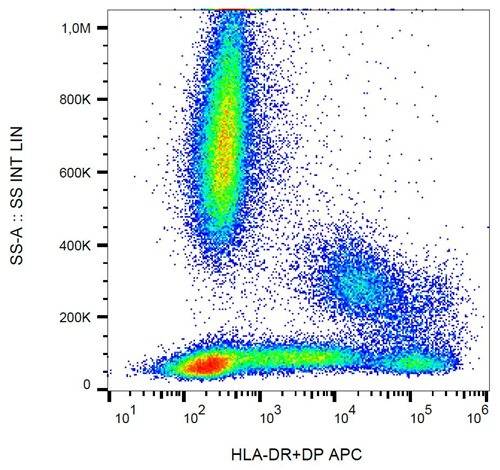 Anti-HLA-DR/DP APC