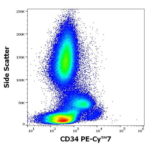 Anti-Hu CD34 PE-Cy™7