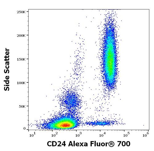 Anti-Hu CD24 Alexa Fluor<sup>®</sup> 700