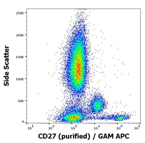 Anti-Hu CD27 Purified