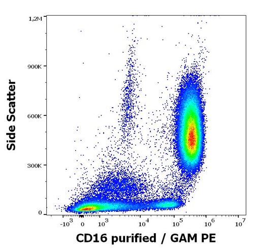 Anti-Hu CD16 Purified