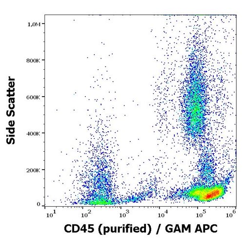 Anti-Hu CD45 Purified