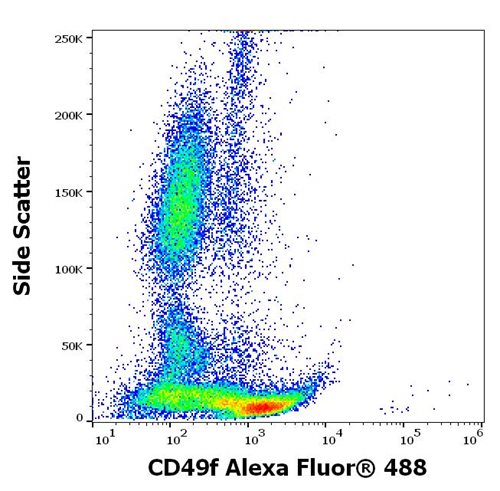 Anti-CD49f Alexa Fluor<sup>®</sup> 488
