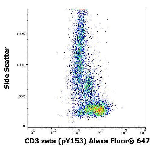Anti-Hu CD3 zeta (pY153) Alexa Fluor<sup>®</sup> 647