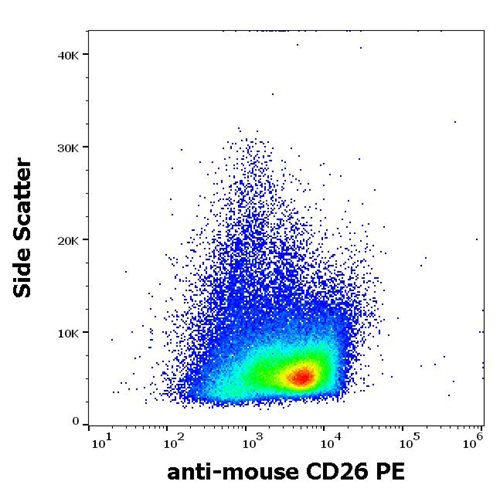 Anti-Ms CD26 PE