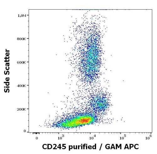 Anti-Hu CD245 Purified