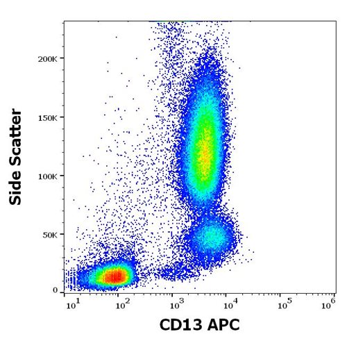Anti-Hu CD13 APC
