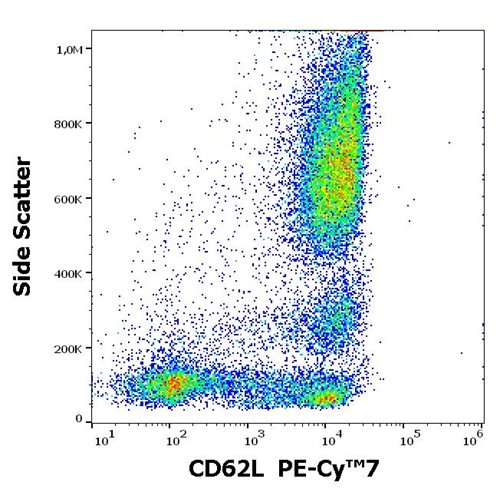 Anti-Hu CD62L PE-Cy™7