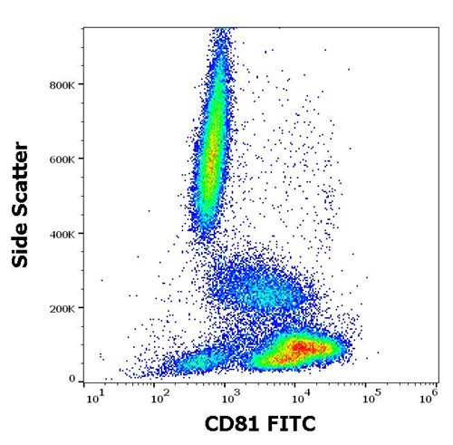 Anti-Hu CD81 FITC