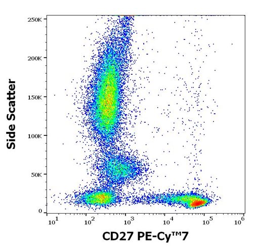 Anti-Hu CD27 PE-Cy™7