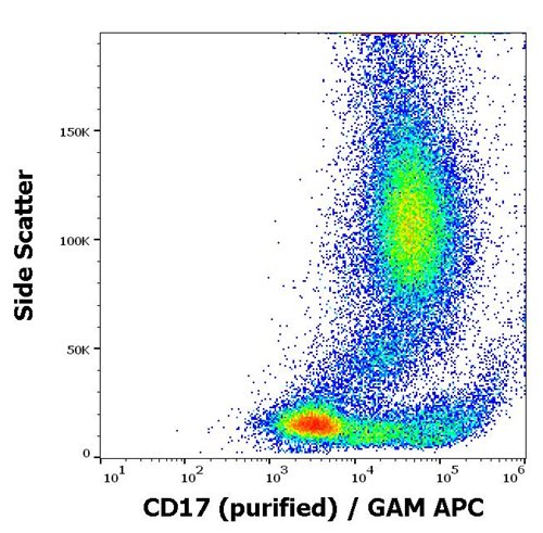 Anti-Hu CD17 Purified