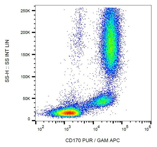 Anti-Hu CD170 Purified