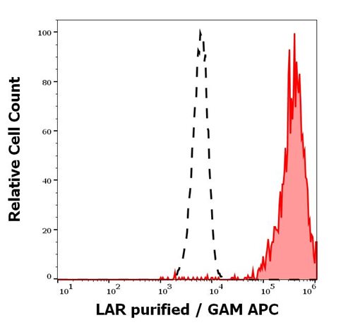 Anti-Hu LAR Purified