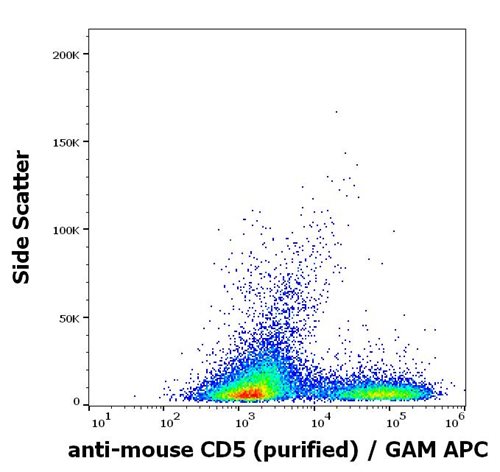 Anti-Ms CD5 Purified