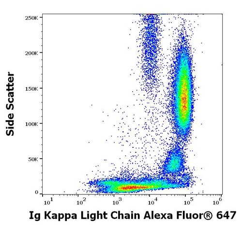 Anti-Hu Ig Kappa Light Chain Alexa Fluor<sup>®</sup> 647