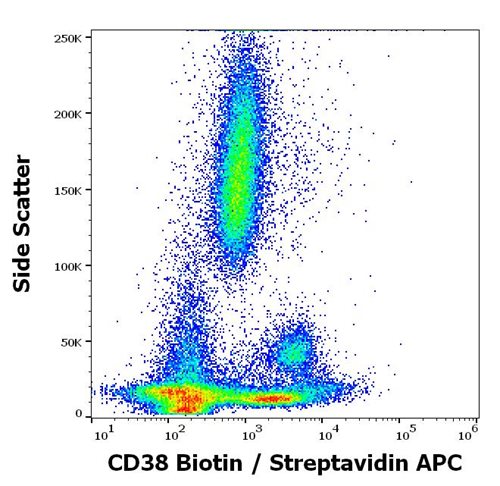 Anti-Hu CD38 Biotin