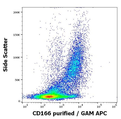 Anti-Hu CD166 Purified