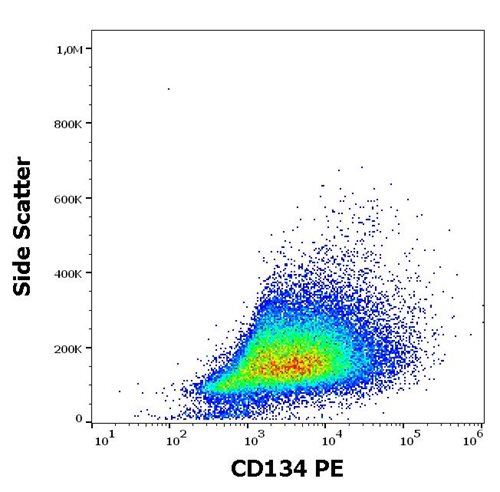 Anti-Hu CD134 PE