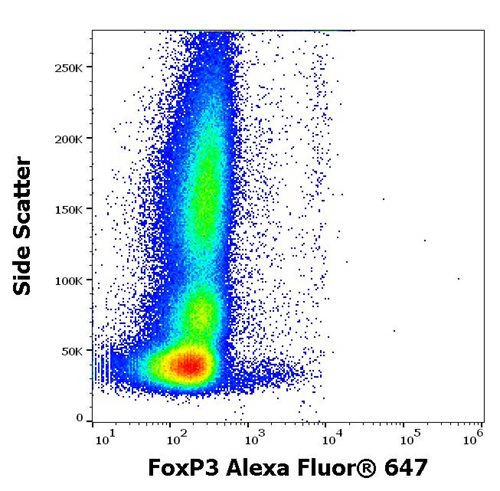 Anti-FoxP3 Alexa Fluor<sup>®</sup> 647