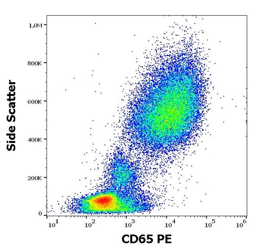 Anti-Hu CD65 PE