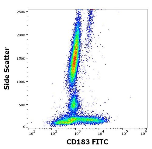 Anti-Hu CD183 FITC