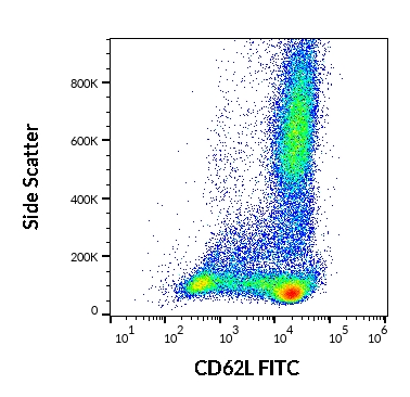 Anti-Hu CD62L FITC