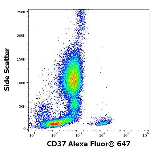 Anti-Hu CD37 Alexa Fluor<sup>®</sup> 647