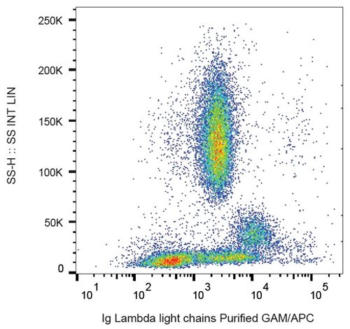 Anti-Hu Ig Lambda Light Chain Purified