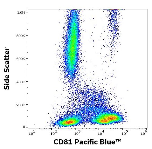 Anti-Hu CD81 Pacific Blue™