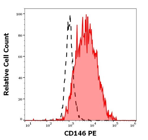 Anti-Hu CD146 PE